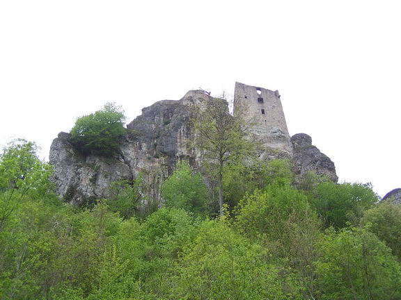 12.05.2010 013.jpg